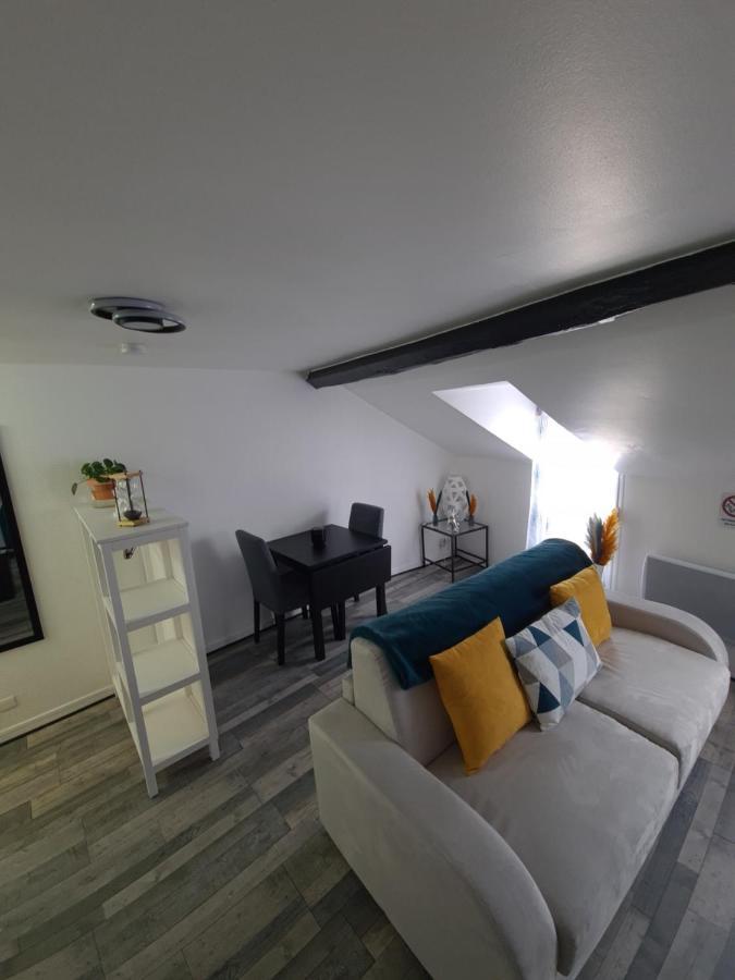 Un Appartement Qui A Du Chien Épernay Buitenkant foto