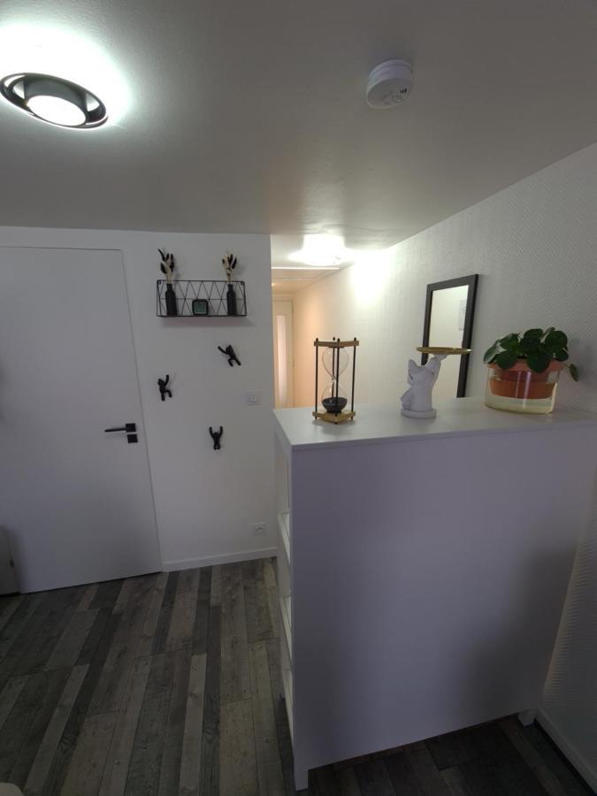 Un Appartement Qui A Du Chien Épernay Buitenkant foto