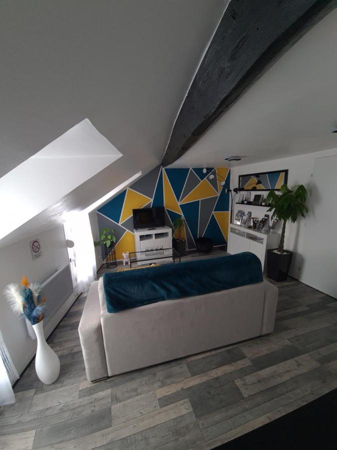 Un Appartement Qui A Du Chien Épernay Buitenkant foto